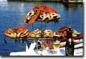 Plateau de fruits de mer