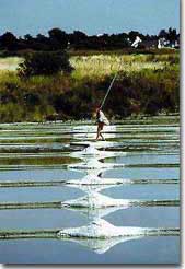 Marais salants